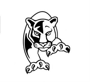 panther